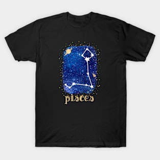 pisces T-Shirt